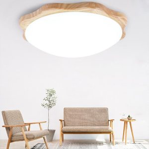 EIN582 Circles Waves Minimalist Flush Mount Light LED Living Room Ceiling Lights