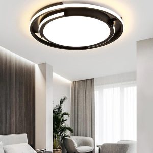 EIN571 Circular Design Dimmable LED Black Nordic Ceiling Lights Flush Mount Lighting
